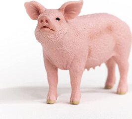 Figūriņa Schleich 465148 цена и информация | Игрушки для девочек | 220.lv