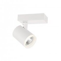 Потолочная лампа SPL-31991-4B-WH цена и информация | Потолочные светильники | 220.lv
