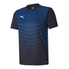 Īsroku Sporta T-krekls FTBLPLAY Puma 656813 02 Zils cena un informācija | Sporta apģērbs vīriešiem | 220.lv