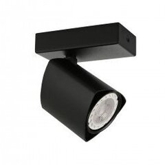 Потолочная лампа SPL-31970-4B-BK цена и информация | Потолочные светильники | 220.lv