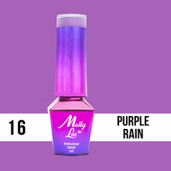 Гель лак для ногтей Molly Lac - Cocktails - Drinks - Purple Rain 5ml Но. 16 цена и информация | Лаки для ногтей, укрепители | 220.lv