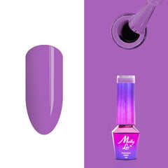 Гель лак для ногтей Molly Lac - Cocktails - Drinks - Purple Rain 5ml Но. 16 цена и информация | Лаки для ногтей, укрепители | 220.lv