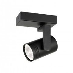 Потолочная лампа SPL-31993-4B-BK цена и информация | Потолочные светильники | 220.lv