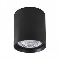 Потолочная лампа OWG-705R/BF-WW цена и информация | Потолочные светильники | 220.lv