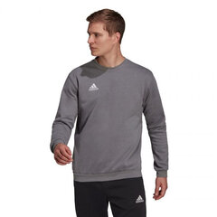 Adidas Džemperi Ent22 Sweat Top Grey H57479 цена и информация | Мужская спортивная одежда | 220.lv