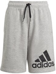 Adidas Šorti B Sl Chelsea Grey GN4022 cena un informācija | Zēnu šorti | 220.lv