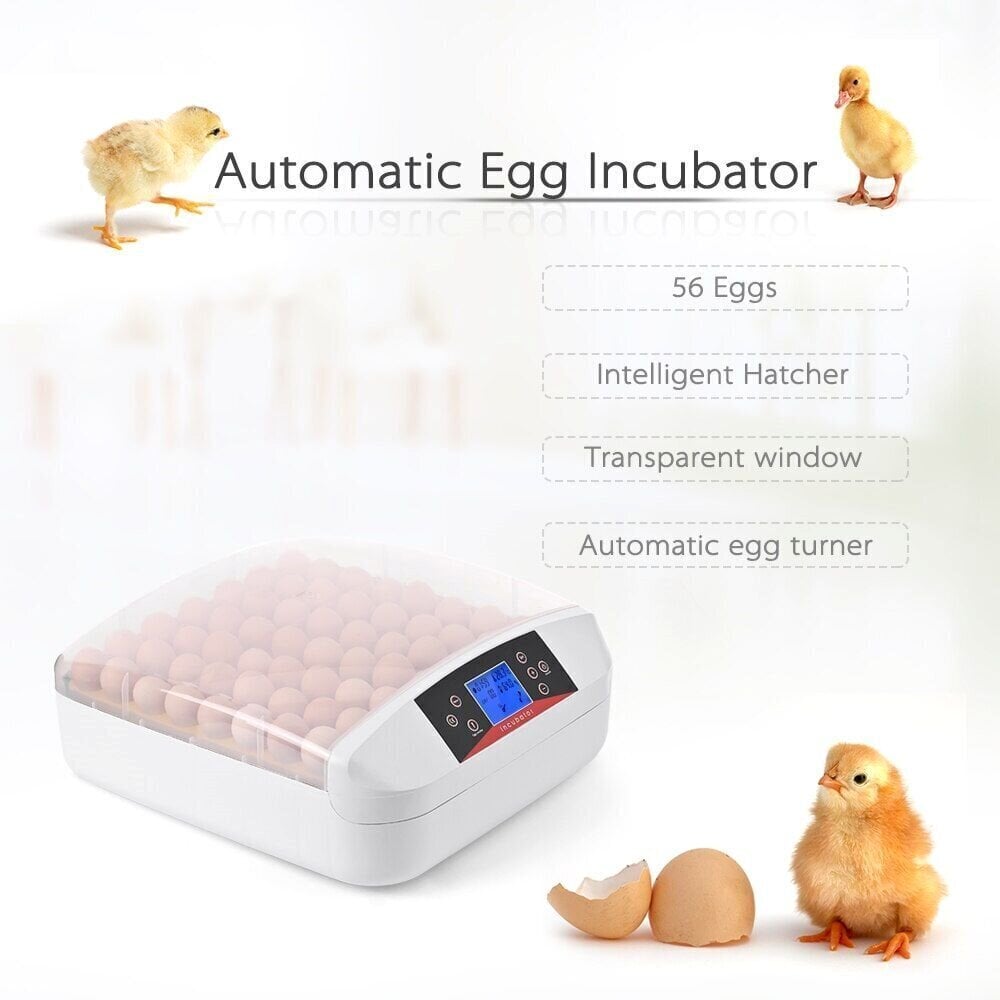Automātisks olu inkubators, 56 vietas cena un informācija | Preces lauksaimniecības dzīvniekiem | 220.lv