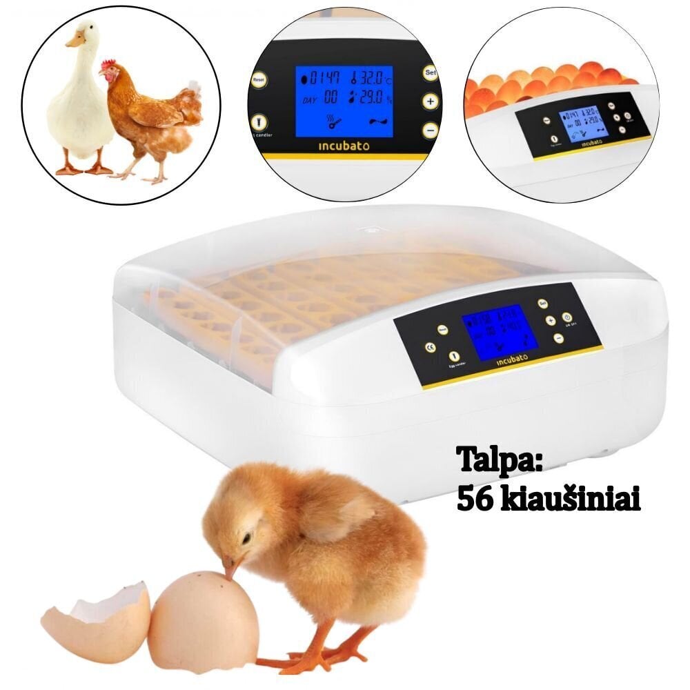 Automātisks olu inkubators, 56 vietas cena un informācija | Preces lauksaimniecības dzīvniekiem | 220.lv