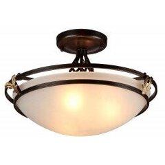 Griestu lampa Maytoni Ceiling &amp;amp; Wall bronzas krāsā ar baltu kupolu C232-CL-03-R cena un informācija | Griestu lampas | 220.lv