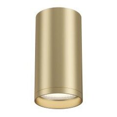 Griestu lampa Maytoni Ceiling &amp;amp; Wall zelta krāsā C052CL-01MG cena un informācija | Griestu lampas | 220.lv
