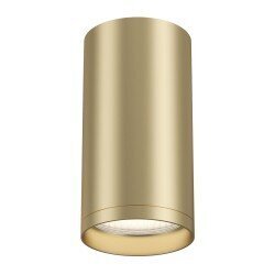 Griestu lampa Maytoni Ceiling &amp;amp; Wall zelta krāsā C052CL-01MG цена и информация | Griestu lampas | 220.lv