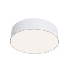 Griestu lampa Maytoni celling &amp;amp; Wall kolekcija baltā krāsā 32W 4000K &Oslash;22cm C032CL-L32W4K cena un informācija | Griestu lampas | 220.lv