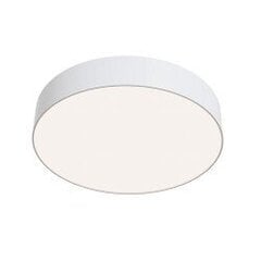 Griestu lampa Maytoni celling &amp;amp; Wall kolekcija baltā krāsā 43W 4000K &Oslash;30cm C032CL-L43W4K cena un informācija | Griestu lampas | 220.lv