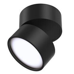Maytoni Технический потолочный светильник Onda C024CL-L12B4K Черный цена и информация | Потолочные светильники | 220.lv