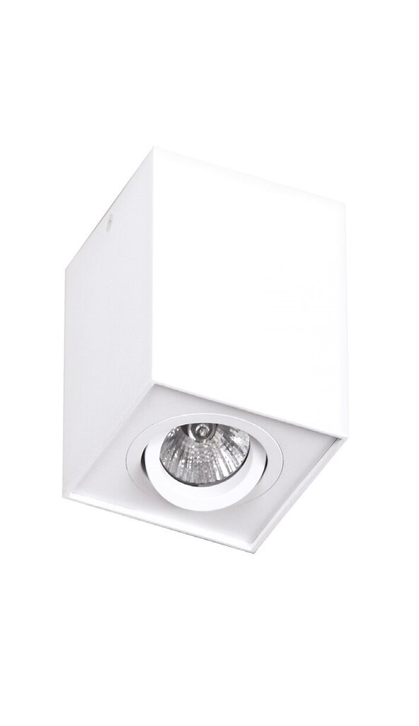 Griestu lampa Maxlight Basic kolekcija balta 1xGU10 C0070 cena un informācija | Griestu lampas | 220.lv