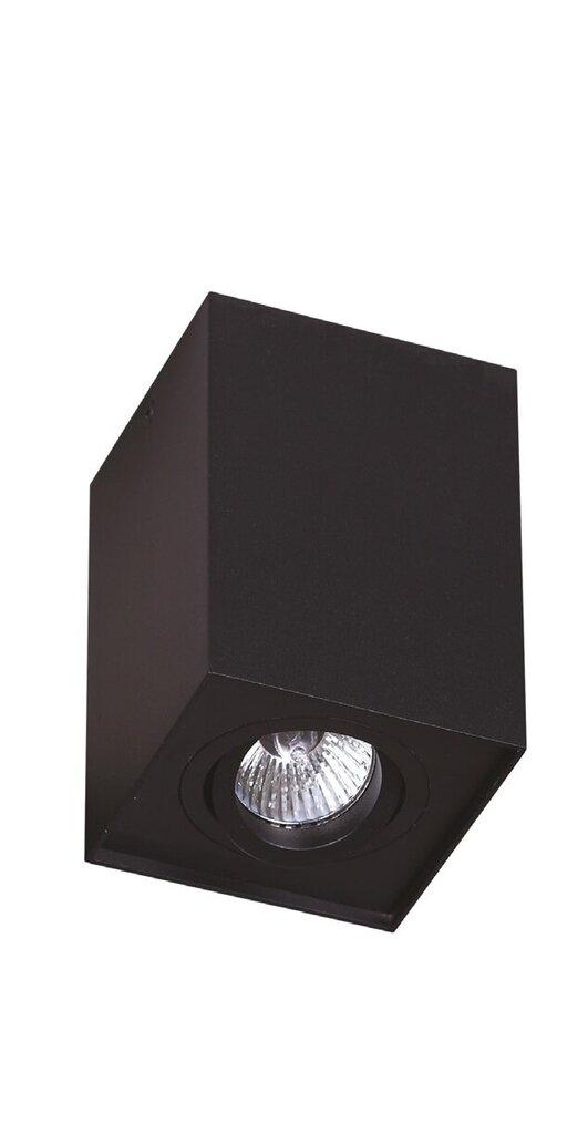 Griestu lampa Maxlight Basic kolekcija melna 1xGU10 C0071 цена и информация | Griestu lampas | 220.lv