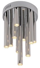 Griestu lampa Maxlight Organic kolekcija hroma krāsā 10x1W 3000K dimmējama C0117D cena un informācija | Griestu lampas | 220.lv