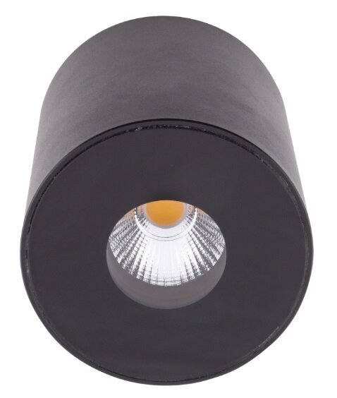 Griestu lampa Maxlight Plazma kolekcija melna &Oslash;7,3cm 13W 3000K IP54 C0151 цена и информация | Griestu lampas | 220.lv