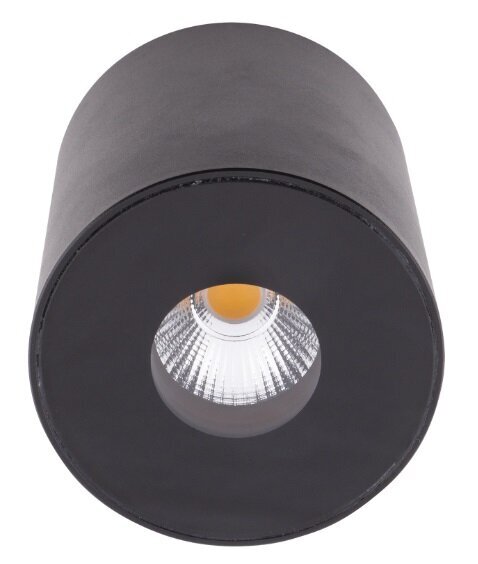 Griestu lampa Maxlight Plazma kolekcija melna &Oslash;7,3cm 13W 3000K IP54 C0151 cena un informācija | Griestu lampas | 220.lv