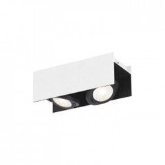 VIDAGO ceiling light цена и информация | Потолочные светильники | 220.lv