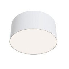 Griestu lampa Maytoni celling &amp;amp; Wall kolekcija baltā krāsā 12W 4000K &Oslash;12cm C032CL-L12W4K цена и информация | Потолочные светильники | 220.lv