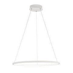 Griestu lampa Maytoni Technical baltā krāsā ar LED diodēm MOD877PL-L36W cena un informācija | Piekaramās lampas | 220.lv