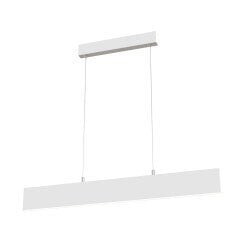 Griestu lampa Maytoni Pendant baltā krāsā ar LED diodēm P010PL-L23W cena un informācija | Lustras | 220.lv