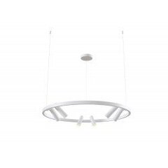 Griestu lampa Maytoni Technical baltā krāsā ar LED diodēm MOD102PL-L42W цена и информация | Люстры | 220.lv