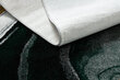 Paklājs EMERALD ekskluzīvs 1017 glamour, stilīgs pudele zaļa / zelts cena un informācija | Paklāji | 220.lv
