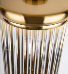 Sienas lampa Maxlight Montreal kolekcija zelta krāsā ar stikla plafonu 2xE14 W0273 cena un informācija | Sienas lampas | 220.lv