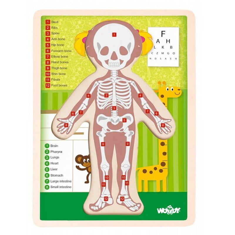 Woody 91925 Eko koka attīstošā puzle - Cilvēka ķermenis Zēns (EN versija) (12gab.) bērniem no 3 gadiem + (22.5x30x0.8см) цена и информация | Puzles, 3D puzles | 220.lv