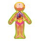 Woody 91925 Eko koka attīstošā puzle - Cilvēka ķermenis Zēns (EN versija) (12gab.) bērniem no 3 gadiem + (22.5x30x0.8см) cena un informācija | Puzles, 3D puzles | 220.lv