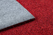 Paklājs mazgāt MOOD 71151011 moderns - sarkans cena un informācija | Paklāji | 220.lv