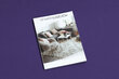 Paklājs pret slīdēšanu RUMBA 1385 violets цена и информация | Paklāji | 220.lv