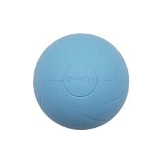 Cheerble Ball W1 SE Interactive Pet Ball cena un informācija | Suņu rotaļlietas | 220.lv