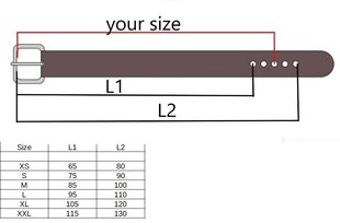 Brūna ādas siksna 30mm. 6 izmēru. cena un informācija | Vīriešu jostas | 220.lv