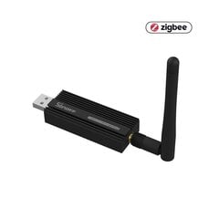 USB atslēga ZBDongle -P Zigbee 3.0 USB Dongle Plus cena un informācija | Drošības sistēmas, kontrolieri | 220.lv