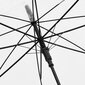 vidaXL lietussargs, caurspīdīgs, 100 cm цена и информация | Lietussargi sievietēm | 220.lv