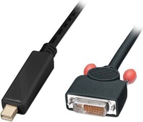 Кабель Lindy DisplayPort Mini - DVI-D 3 м цена и информация | Кабели и провода | 220.lv