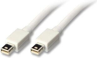 Kabelis Lindy DisplayPort Mini - DisplayPort Mini 1.5 m cena un informācija | Kabeļi un vadi | 220.lv