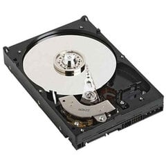 Cietais disks Dell NPOS 3,5" 1 TB 7200 rpm цена и информация | Жёсткие диски | 220.lv