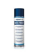 Saldēšana aerosols Kent Quick Freeze, 500 ml (86636) cena un informācija | Auto ķīmija | 220.lv