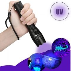 Rokas lukturis ar UV-gaismas diodi cena un informācija | Lukturi | 220.lv