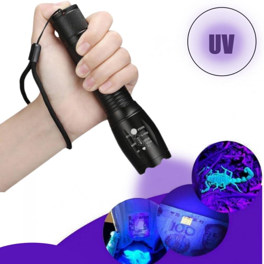 Rokas lukturis ar UV-gaismas diodi цена и информация | Lukturi | 220.lv