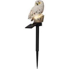 LED āra dekors uz saules baterijām pūce 10x33cm 0,06W Owl цена и информация | Уличное освещение | 220.lv