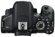 Canon EOS 750D Body цена и информация | Digitālās fotokameras | 220.lv