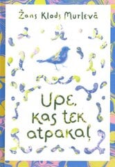 Upe, kas tek atpakaļ цена и информация | Романы | 220.lv