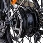 Elektriskais velosipēds Beaster Scooter BS113B цена и информация | Elektrovelosipēdi | 220.lv