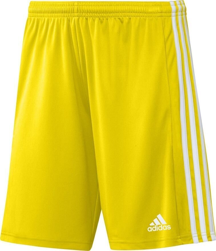 Vīriešu šorti adidas Squadra 21 GN5772, dzelteni, XL cena un informācija | Futbola formas un citas preces | 220.lv