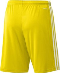 Мужские шорты Adidas Squadra 21 GN5772, желтый, XL цена и информация | Футбольная форма и другие товары | 220.lv